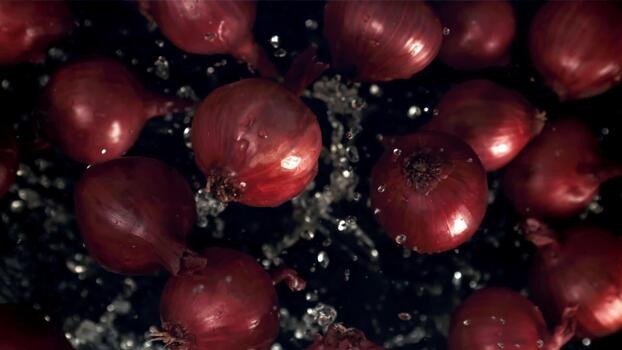 Onion seeds cultivation India